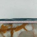 CYY4773