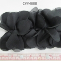 CYY4800