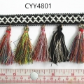 CYY4801