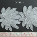 CYY4813