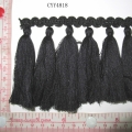CYY4818