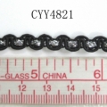 CYY4821
