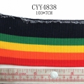 CYY4838