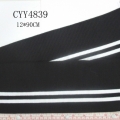 CYY4839