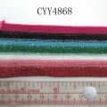 CYY4868