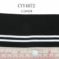 CYY4872