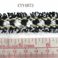 CYY4873
