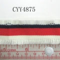 CYY4875