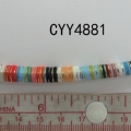 CYY4881