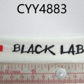 CYY4883