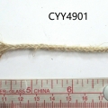 CYY4901