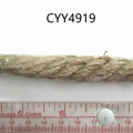 CYY4919