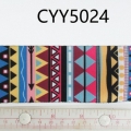 CYY5024
