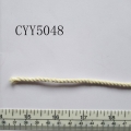 CYY5048