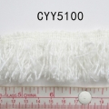 CYY5100