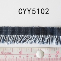 CYY5102