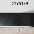CYY5139