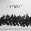 CYY5234-2