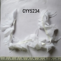 CYY5234