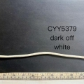 CYY5379-2
