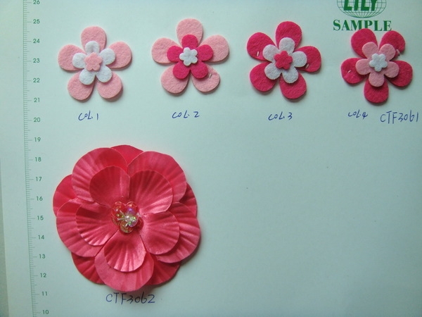 CTF3061-3062