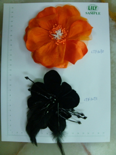 CTF3070-3071
