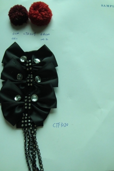 CTF3119-3120