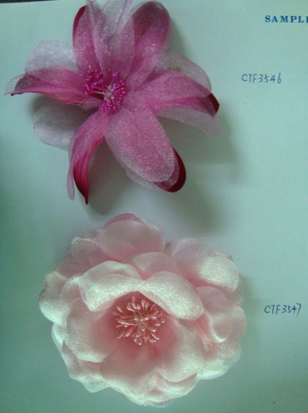 CTF3546-3547