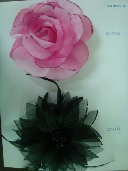 CTF3548-3549