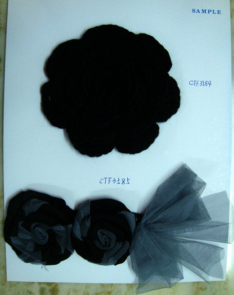 CTF3584-3585