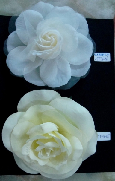 CTF3686-0687