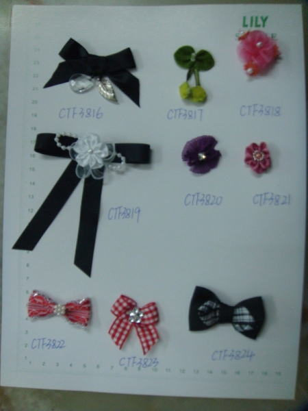 CTF3816-3824