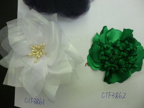 CTF3861-62