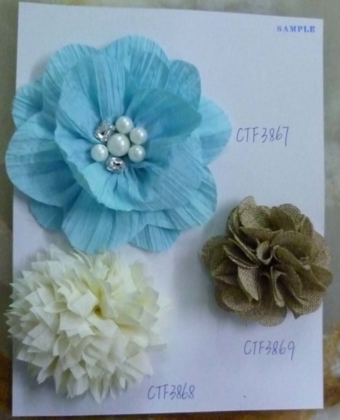 CTF3867-3869