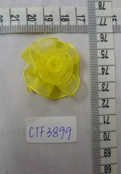 CTF3899