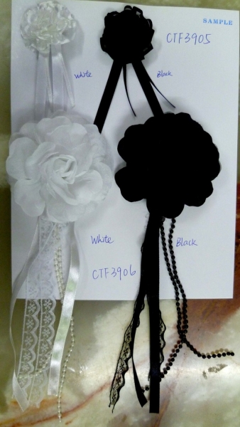 CTF3905-3906