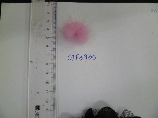 CTF3935