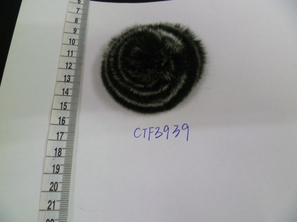 CTF3939