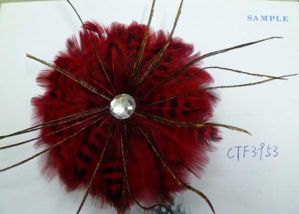 CTF3953