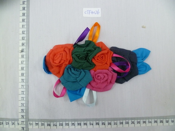 CTF4026