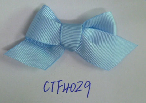 CTF4029