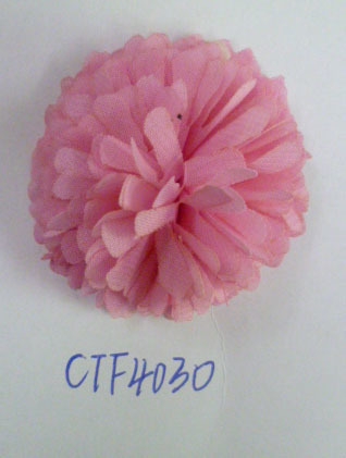 CTF4030