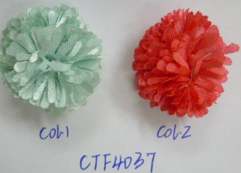 CTF4037