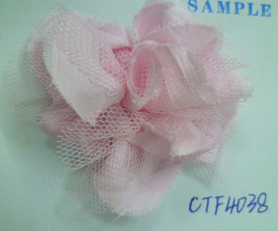 CTF4038