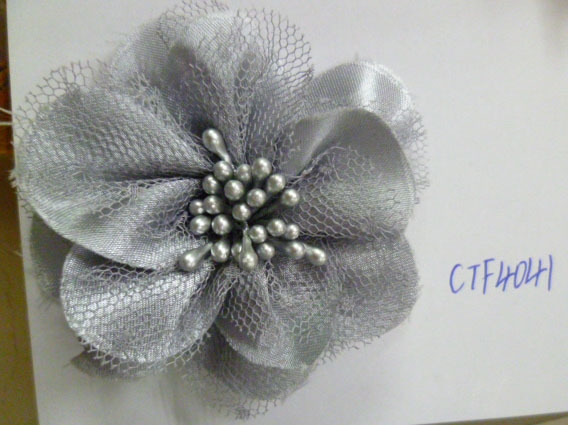 CTF4041