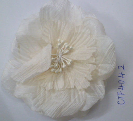 CTF4042