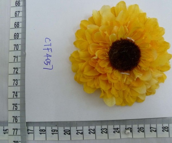 CTF4057