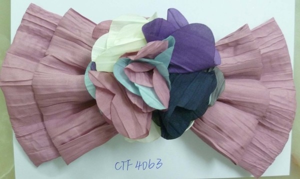 CTF4063