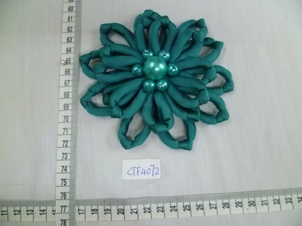 CTF4072