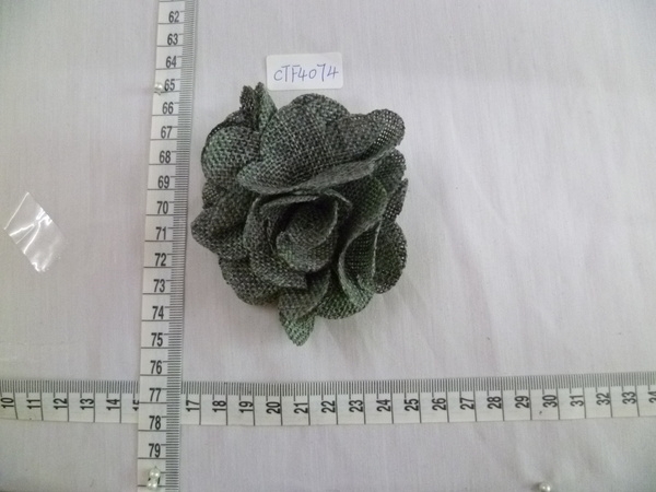 CTF4074